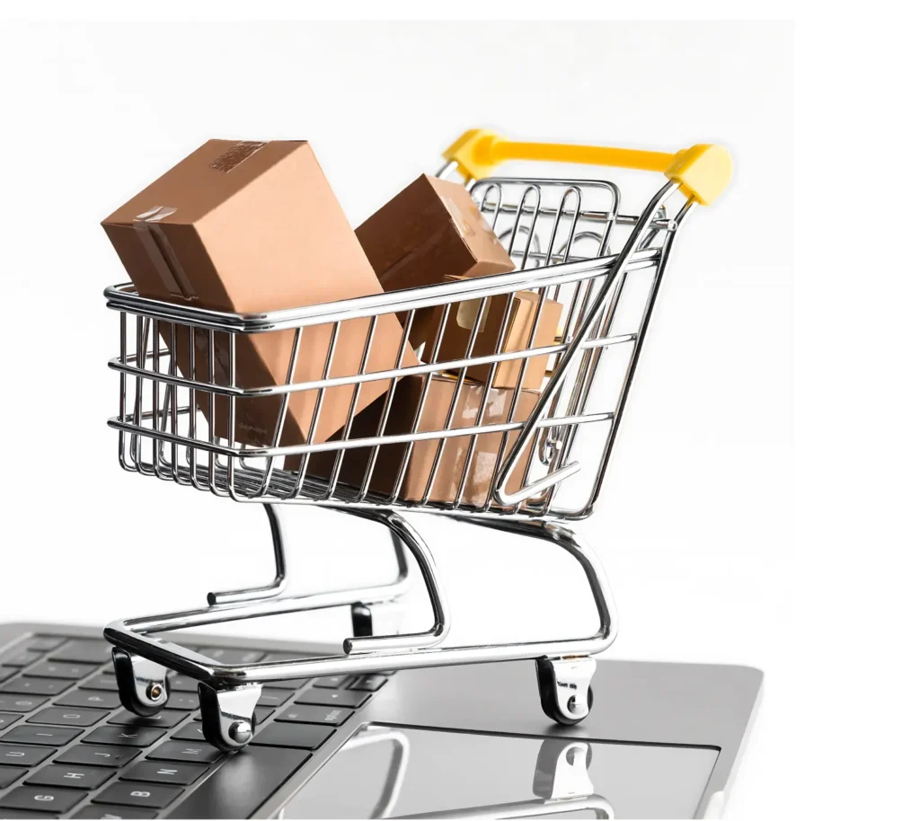 Ecommerce Development