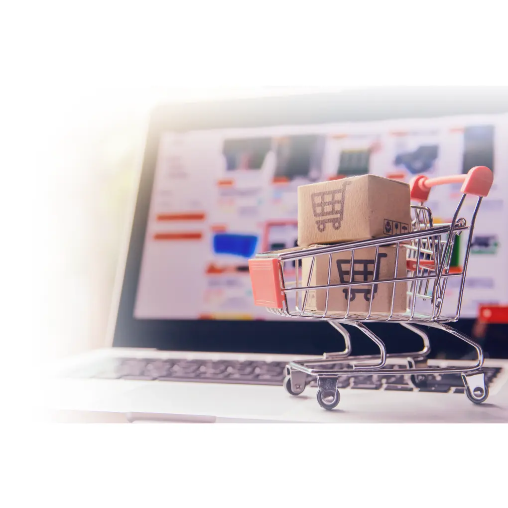 Ecommerce Development