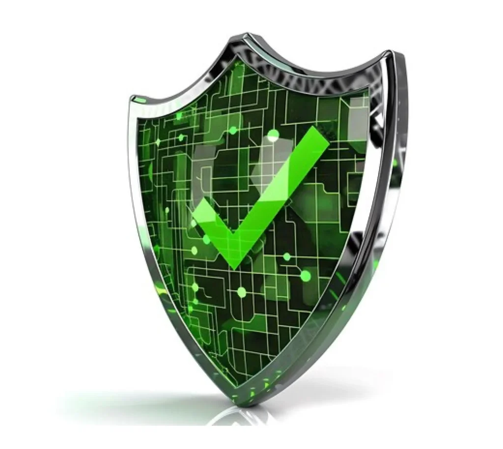 codeistan cyber security services